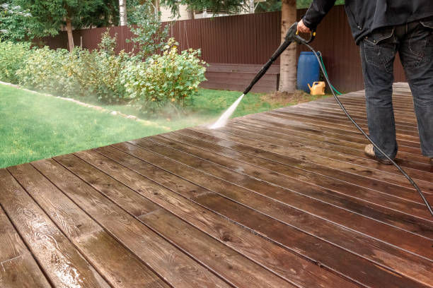 Animal Enclosure Cleaning in Valle Vista, CA